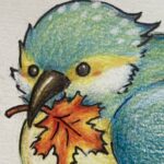 カワセミ
